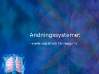 /album/andningssystemet/a6-andningssystemet-001-jpeg/